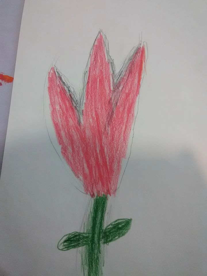 A crayon drawing of a red tulip flower with green leaves and stem on white paper.